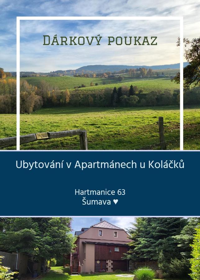 Apartmany U Kolacku Hartmanice  외부 사진